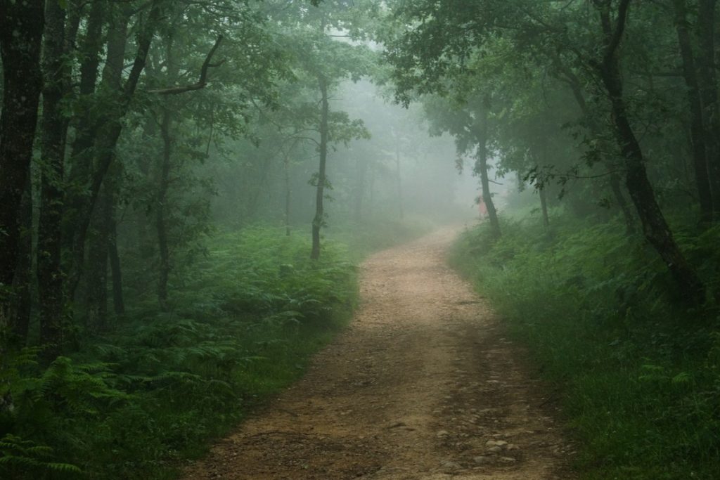 El camino de santiago portugues en invierno