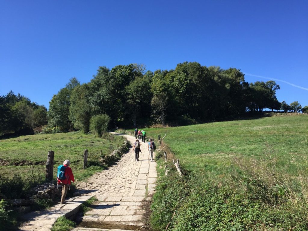 el camino de santiago portugues