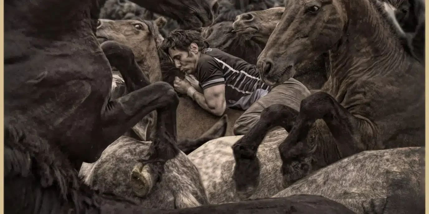 arapa_2025-1379×1536.jpg A Rapa das Bestas 2025