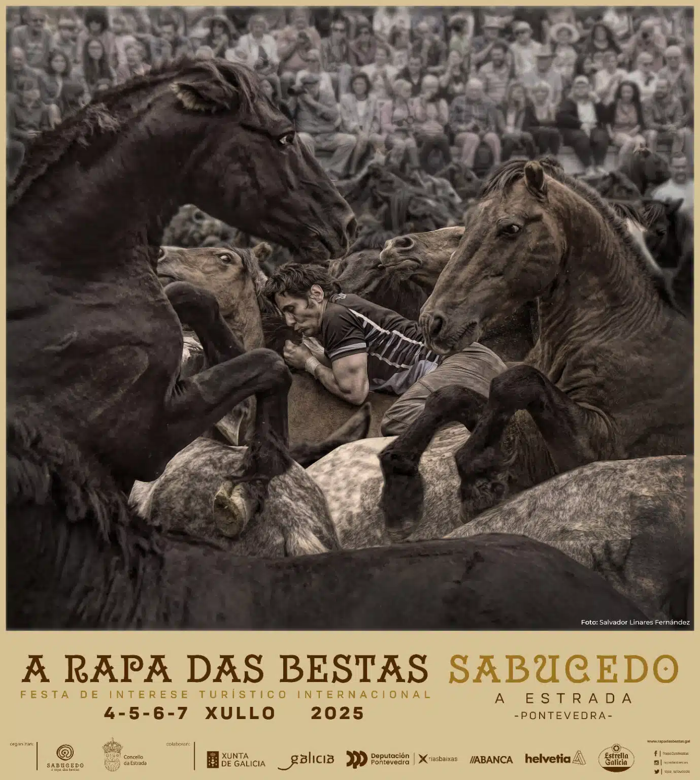 A Rapa das Bestas 2025