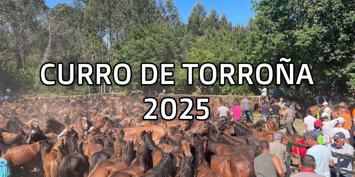 Curro Torroña 2025
